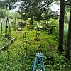 Анисимов Демьян Дмитриевич