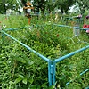 Каширина Любовь Лукинична