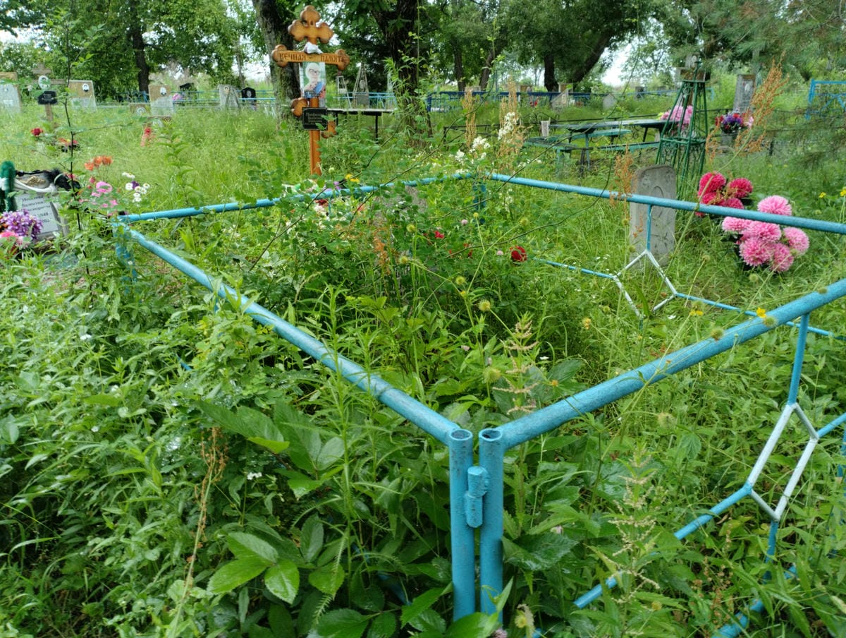 28777d11-9c85-4483-a8c5-e00650c5b3fc Каширина Любовь Лукинична