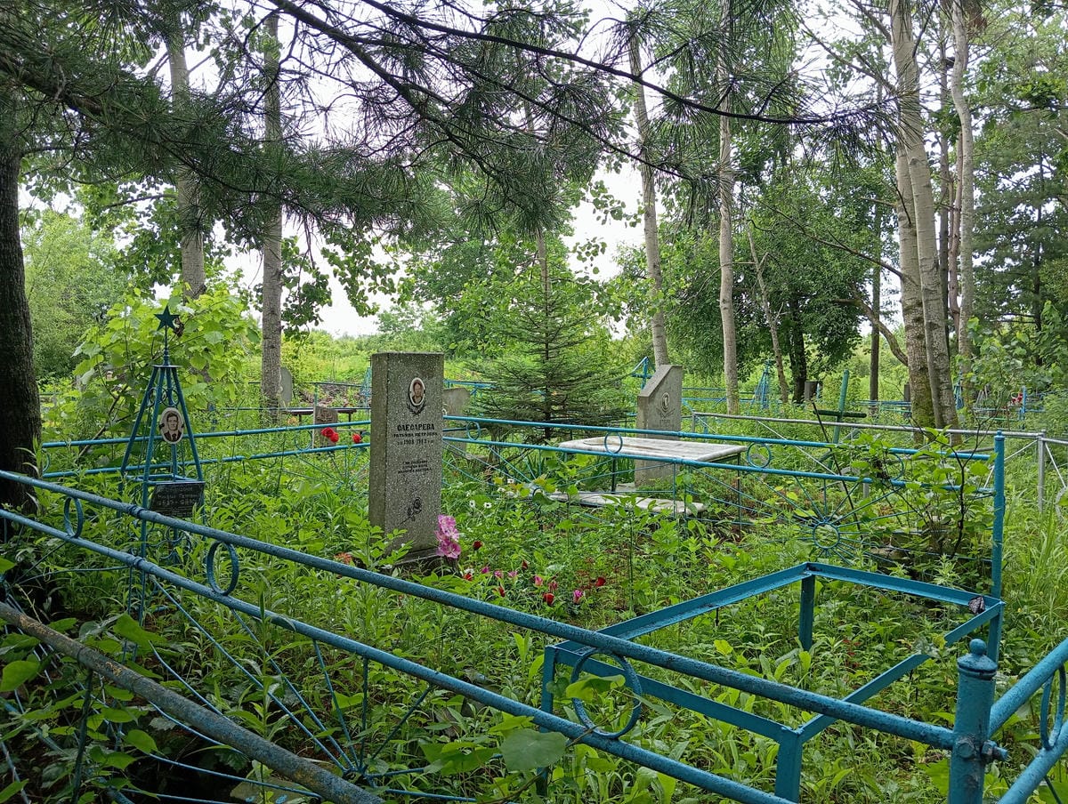 Слесарева Татьяна Петровна