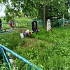 Принцев Герман Витальевич