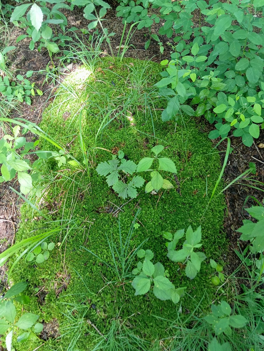 Неизвестно Неизвестно Неизвестно