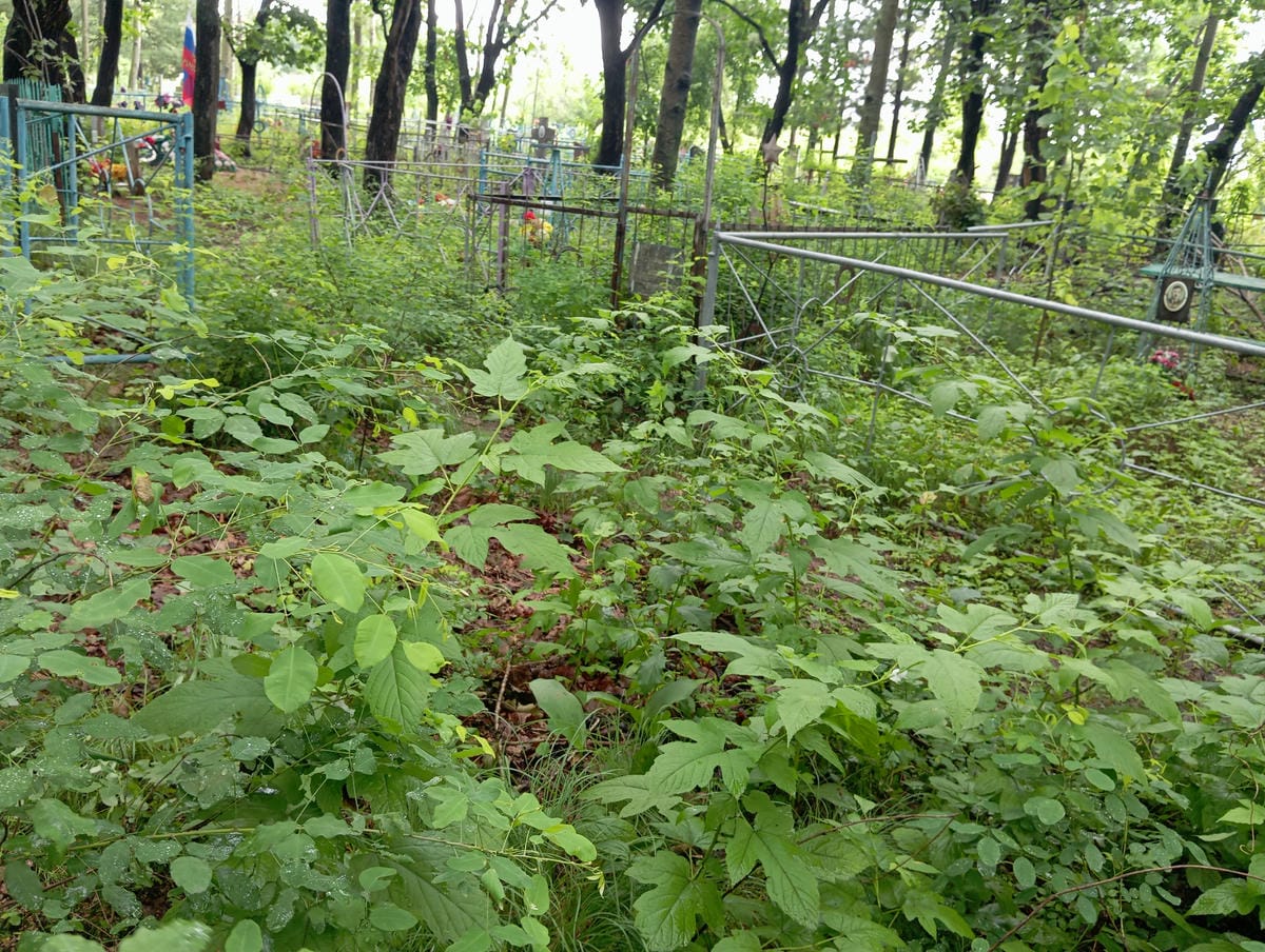 313b80c7-4565-454a-abb4-810453c01c12 Неизвестно Неизвестно Неизвестно