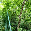 Неизвестно Неизвестно Неизвестно