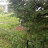 Кульков Виталий Николаевич
