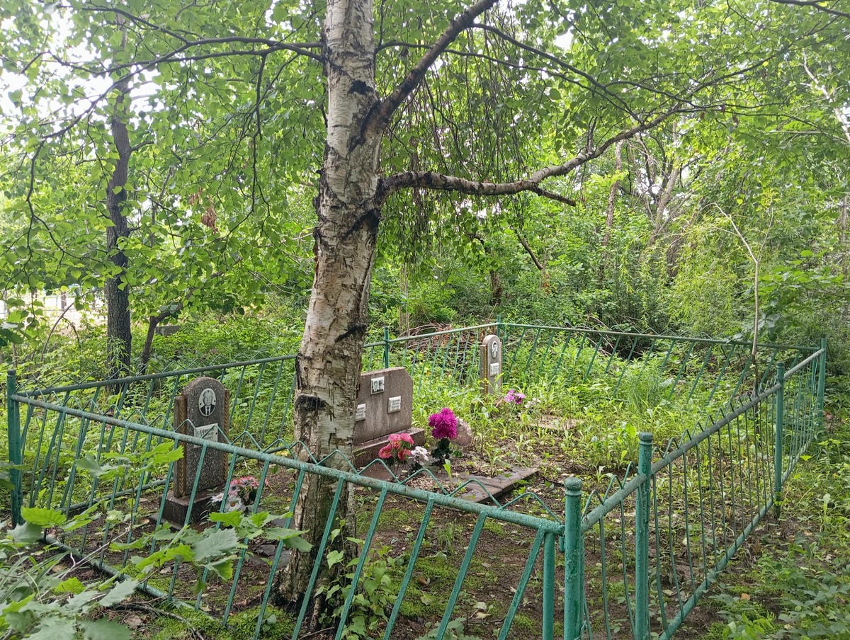 33378c75-5145-46cd-9759-04b75748d53f Ефремова Анастасия Михайловна