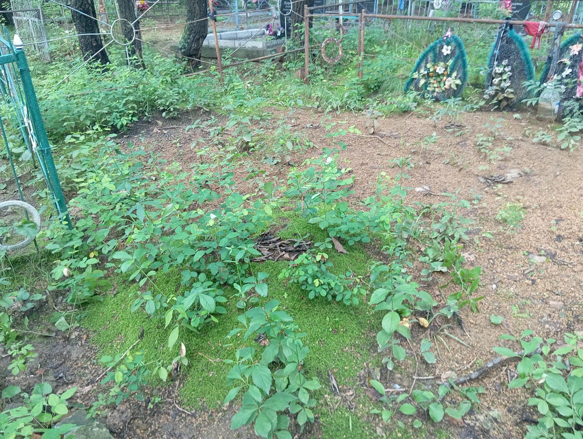 33455fac-c161-4af0-8357-1174805ab92a Неизвестно Неизвестно Неизвестно