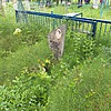 Крамарчук Мария Андреевна
