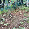 Санин Дмитрий Михайлович