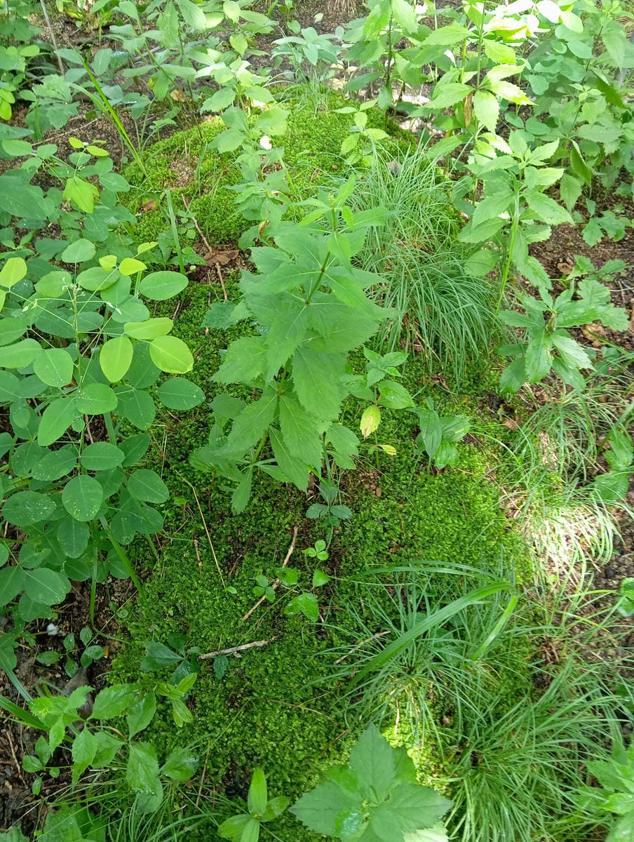 3af40cc5-59ce-45d6-bf79-b0fb005b76b6 Неизвестно Неизвестно Неизвестно