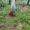 Кравченко Николай Тимофеевич
