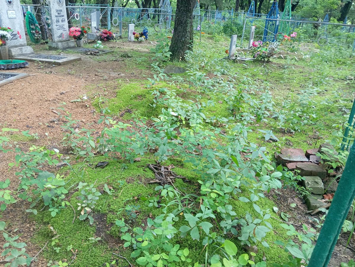 3d977a7b-a848-4e8c-b30e-6b4d17e30956 Неизвестно Неизвестно Неизвестно