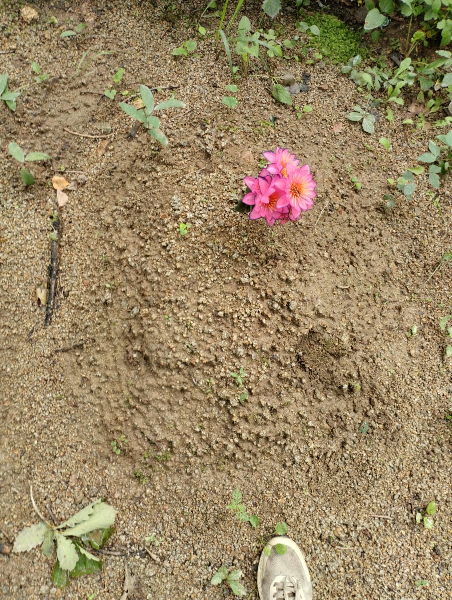 431b58aa-b6fe-4cef-aca3-1f1272a51032 Неизвестно Неизвестно Неизвестно