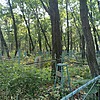 Стрижак Петр Профирьевич