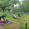 Дикушин Дмитрий Евгеньевич