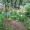 Власов Николай Васильевич