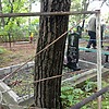 Королев Владимир Александрович