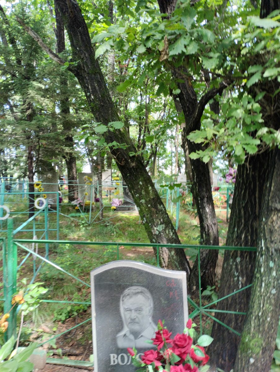 Воловик Борис Иванович