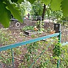 Борщ Иван Аверьянович