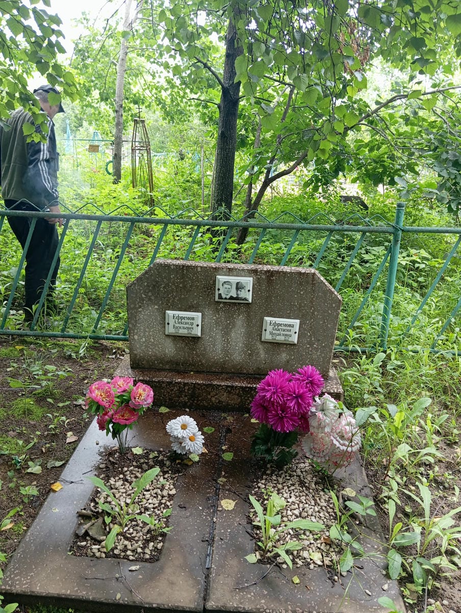 4bfc9c52-1c14-4dde-84c7-8b1b929dea01 Ефремов Александр Васильевич