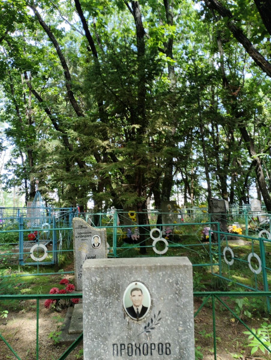 4d78c467-ec3f-4ef3-9f4c-51e4f6fa22f7 Прохоров Михаил Данилович