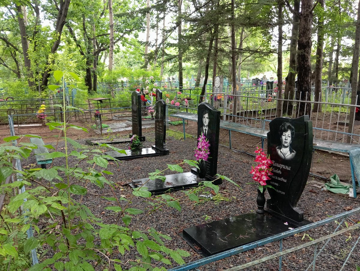 4e751674-d765-4add-a8b5-70429764f26f Панарина Любовь Васильевна