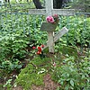 Алещенко Татьяна Григорьевна