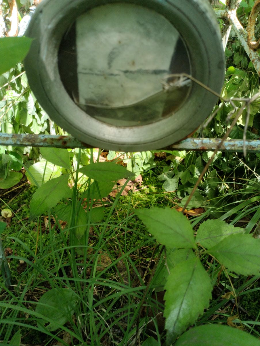 4fbcabaa-ecef-4417-8de2-71de19c860a7 Неизвестно Неизвестно Неизвестно