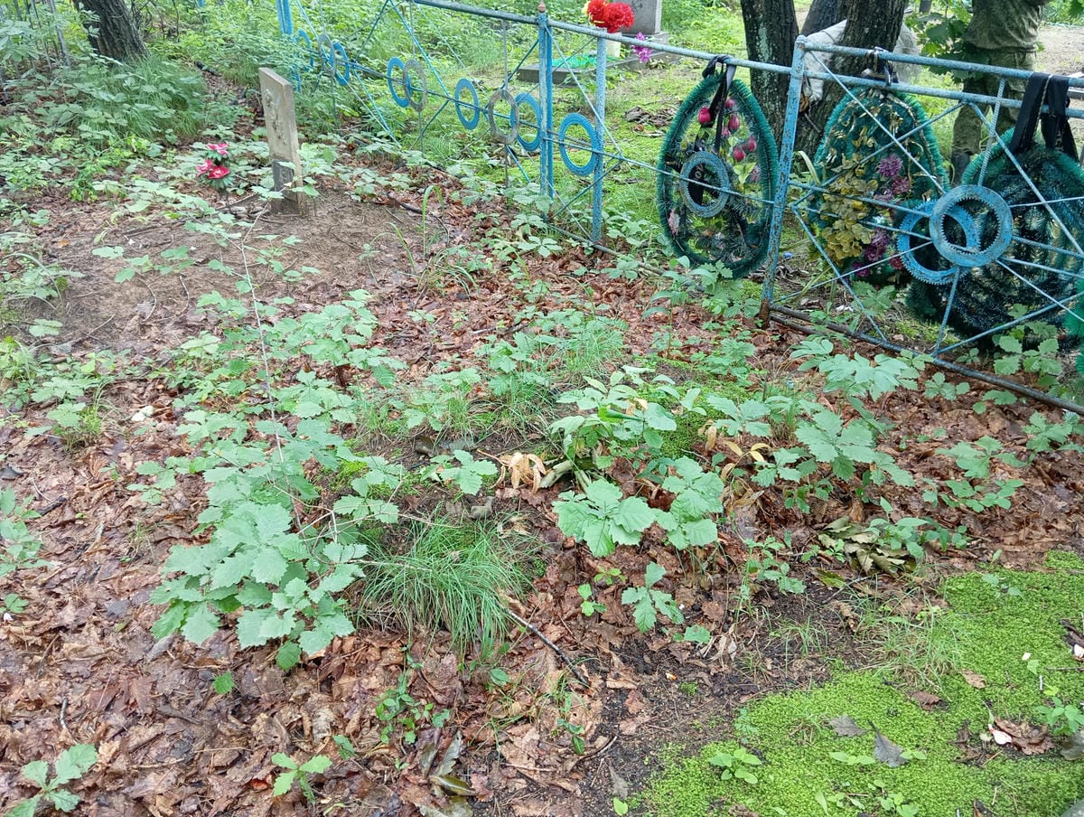 Неизвестно Неизвестно Неизвестно