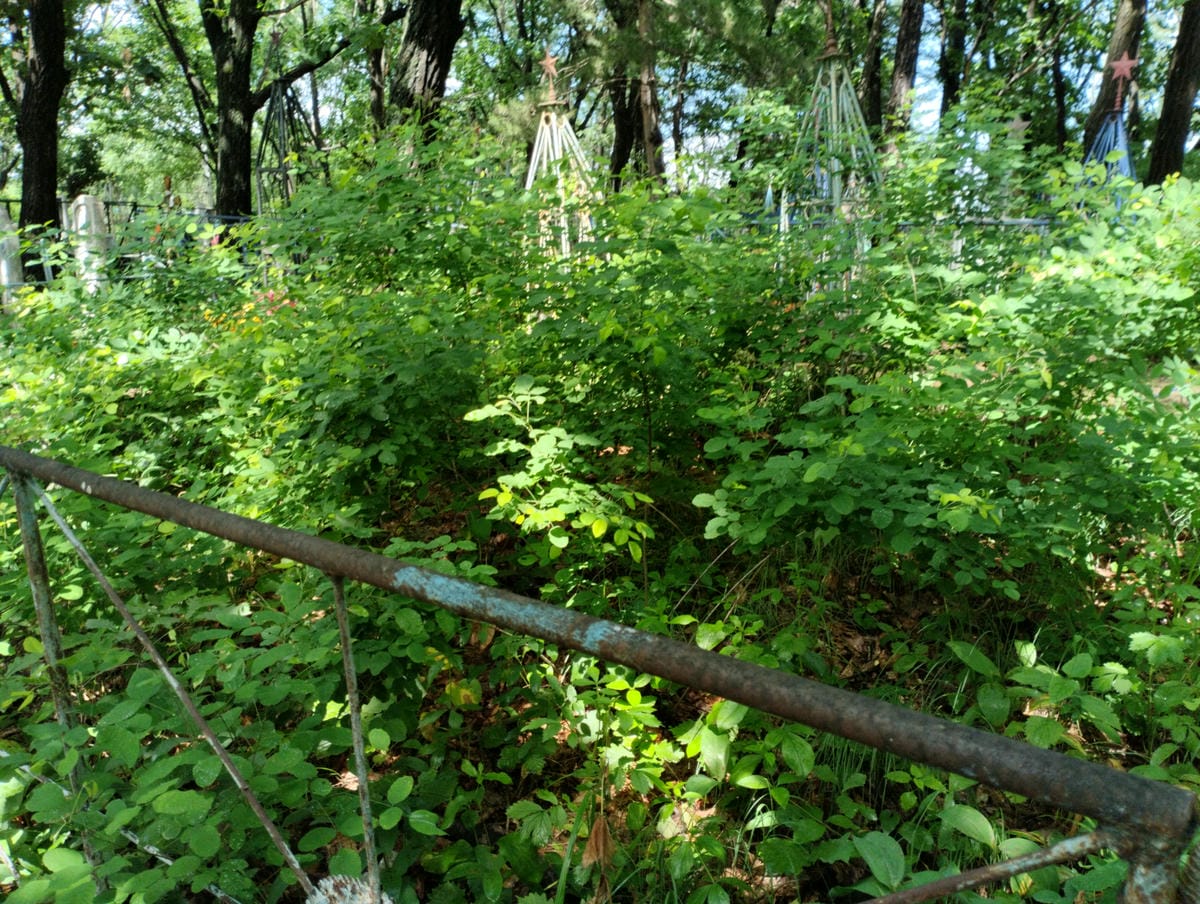 52a4325a-a7db-47c0-923c-b7a9cf23dd56 Неизвестно Неизвестно Неизвестно