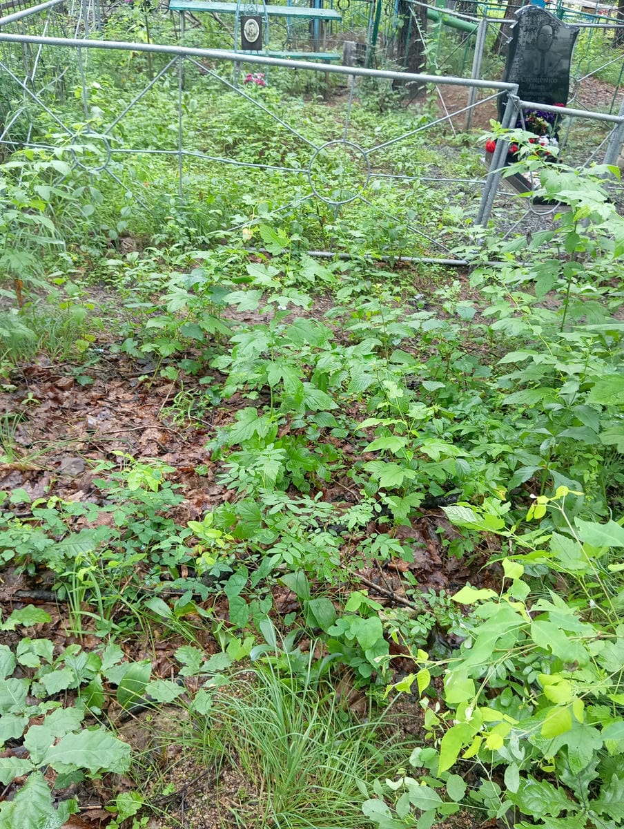 534a901e-20c3-4aa8-8ff0-fa1c17d636e4 Неизвестно Неизвестно Неизвестно