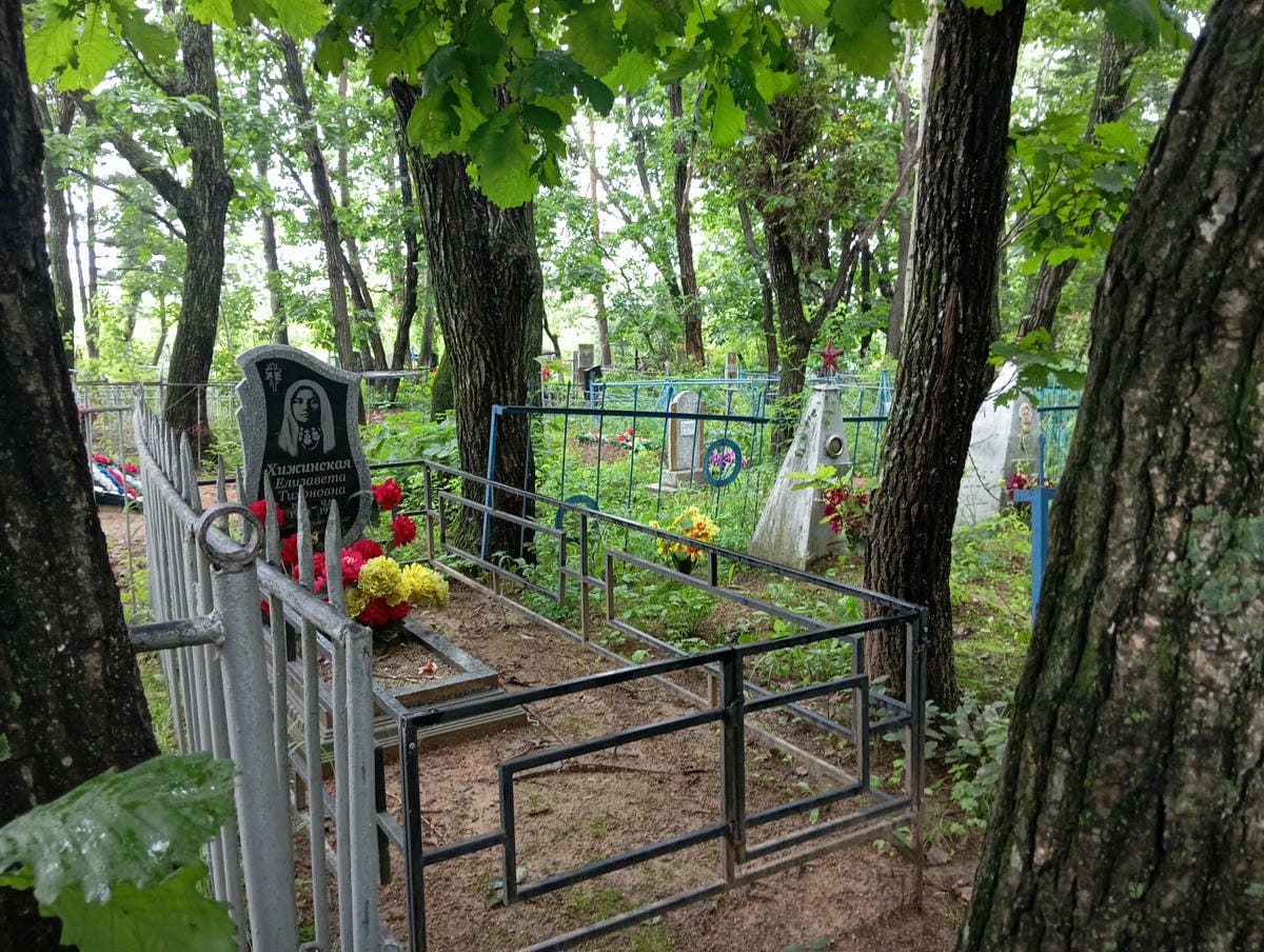 56849c79-08c9-445f-a23b-f189b4be42dc Хижинская Елизавета Тихоновна