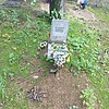 Киршина Анна Дмитриевна