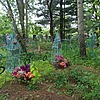 Ершова Анна Матвеевна