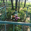 Стецун Фёдор Петрович