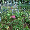 Бизина Анастасия Яковлевна