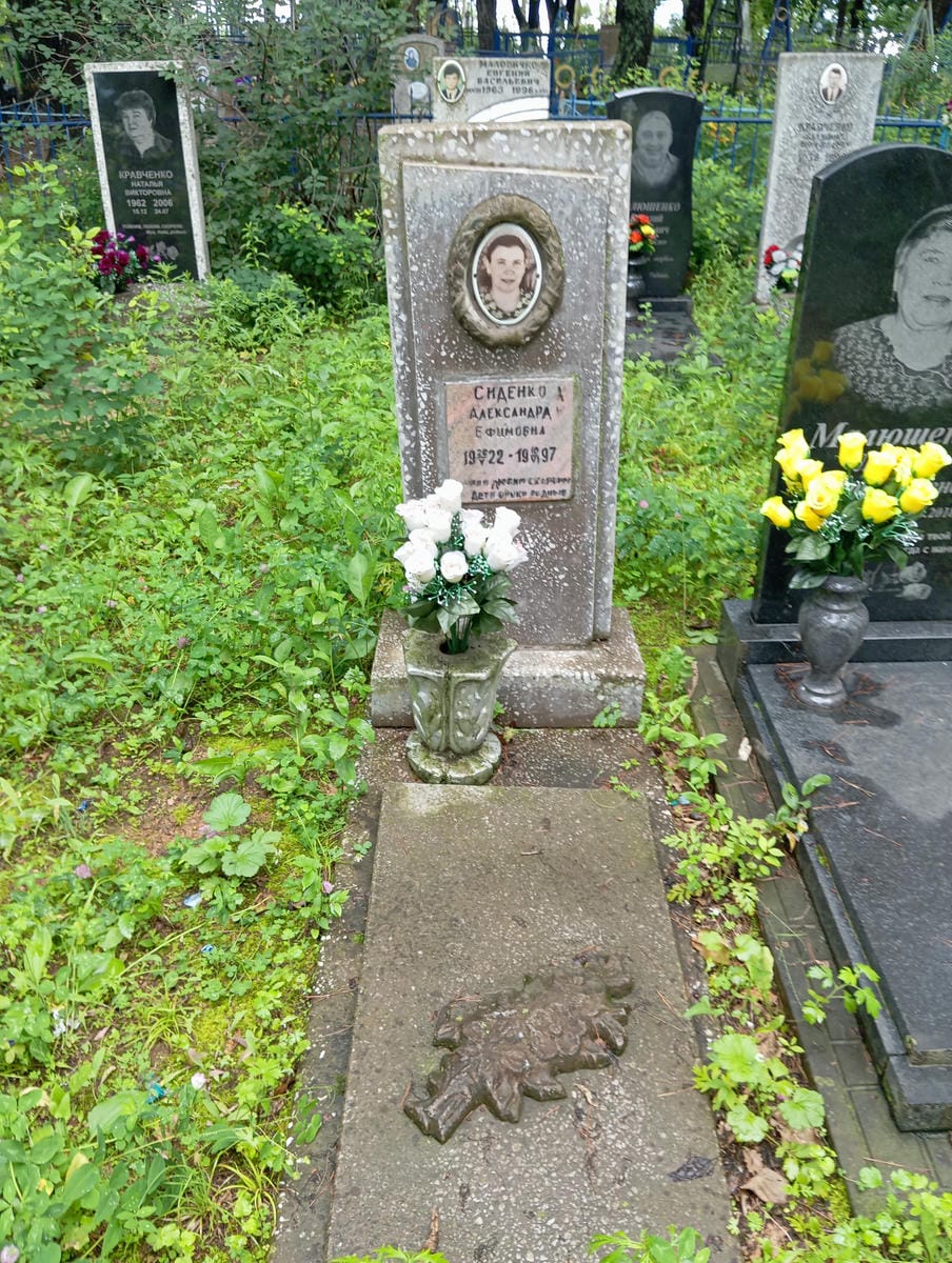 59797272-7c76-4c53-9c50-5421879fc521 Сиденко Александр Ефимовна