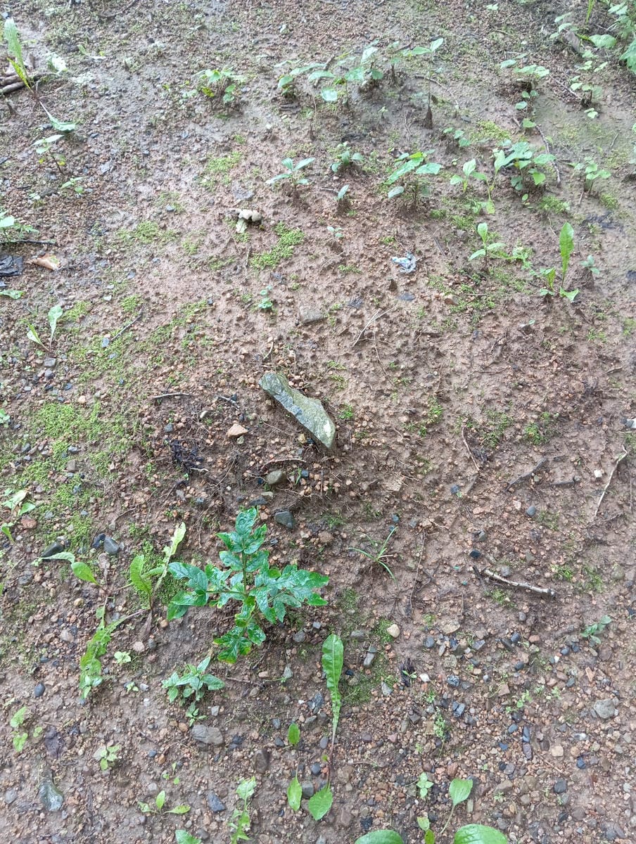 Неизвестно Неизвестно Неизвестно