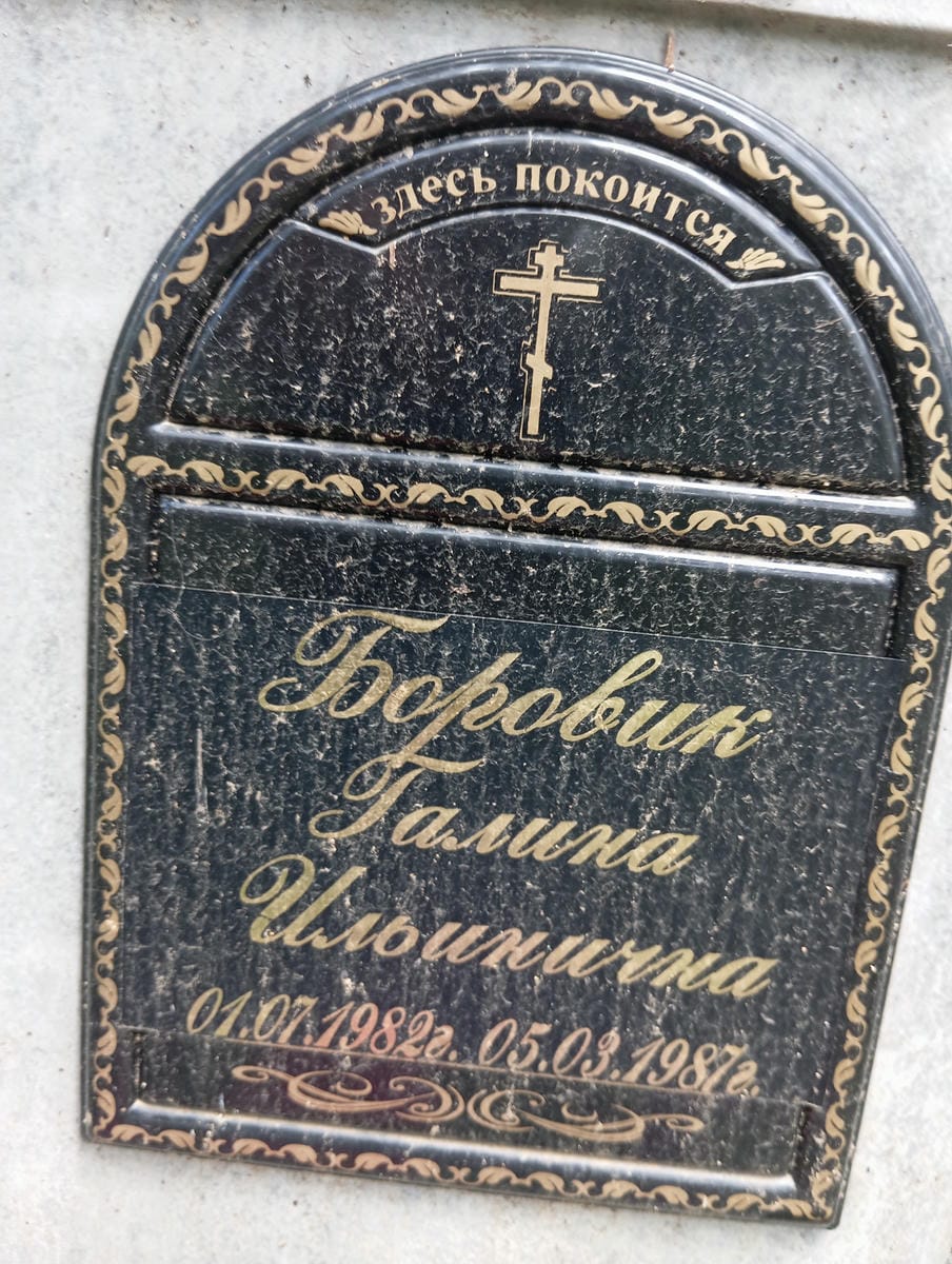 5e0b10c4-bbe3-4a15-99fb-c98c1a168404 Боровик Галина Ильинична