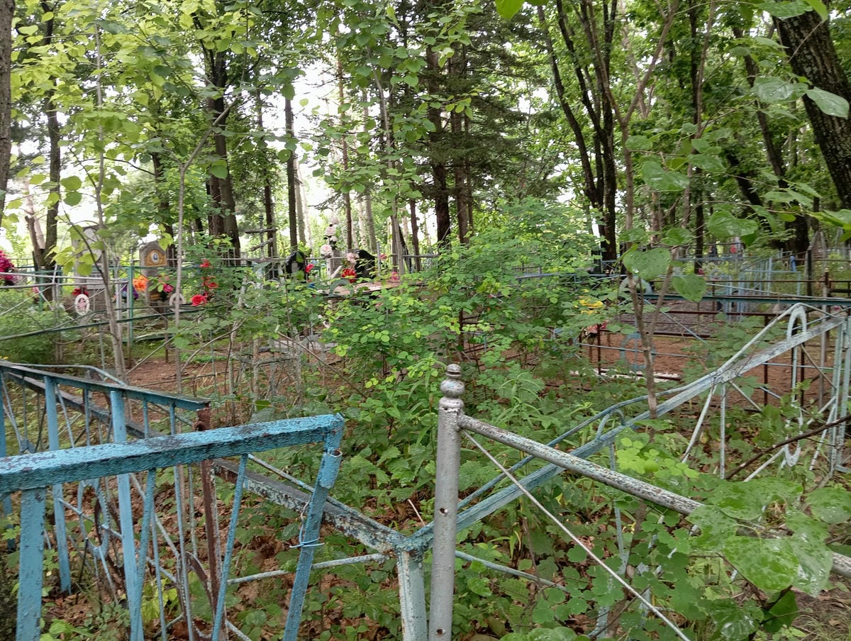 5e9cedbb-5c41-4752-b0c0-6df0aafe18bc Неизвестно Неизвестно Неизвестно
