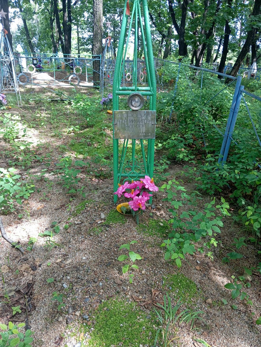 Боровик Дарья Михайловна
