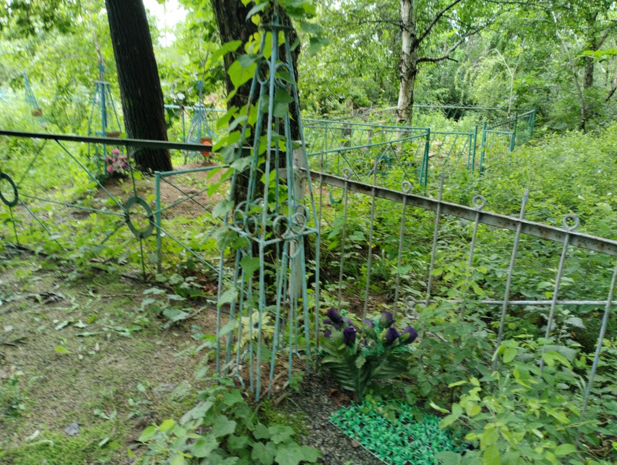 5f3f72fe-ed3c-44b2-9c08-9e31e5031582 Неизвестно Неизвестно Неизвестно