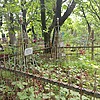 Белый Николай Семенович