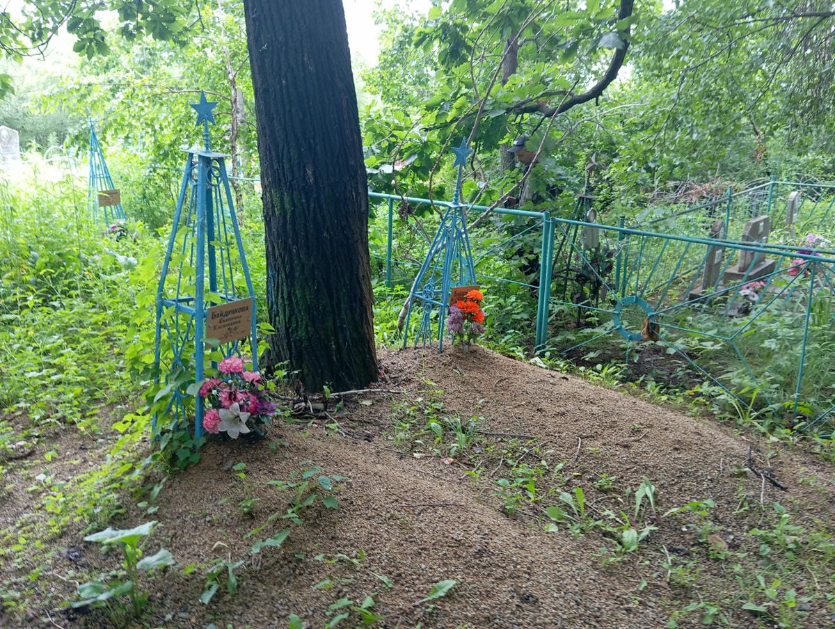 62726d24-edb8-442e-844f-f4375fa60f71 Байдракова Екатерина Васильевна