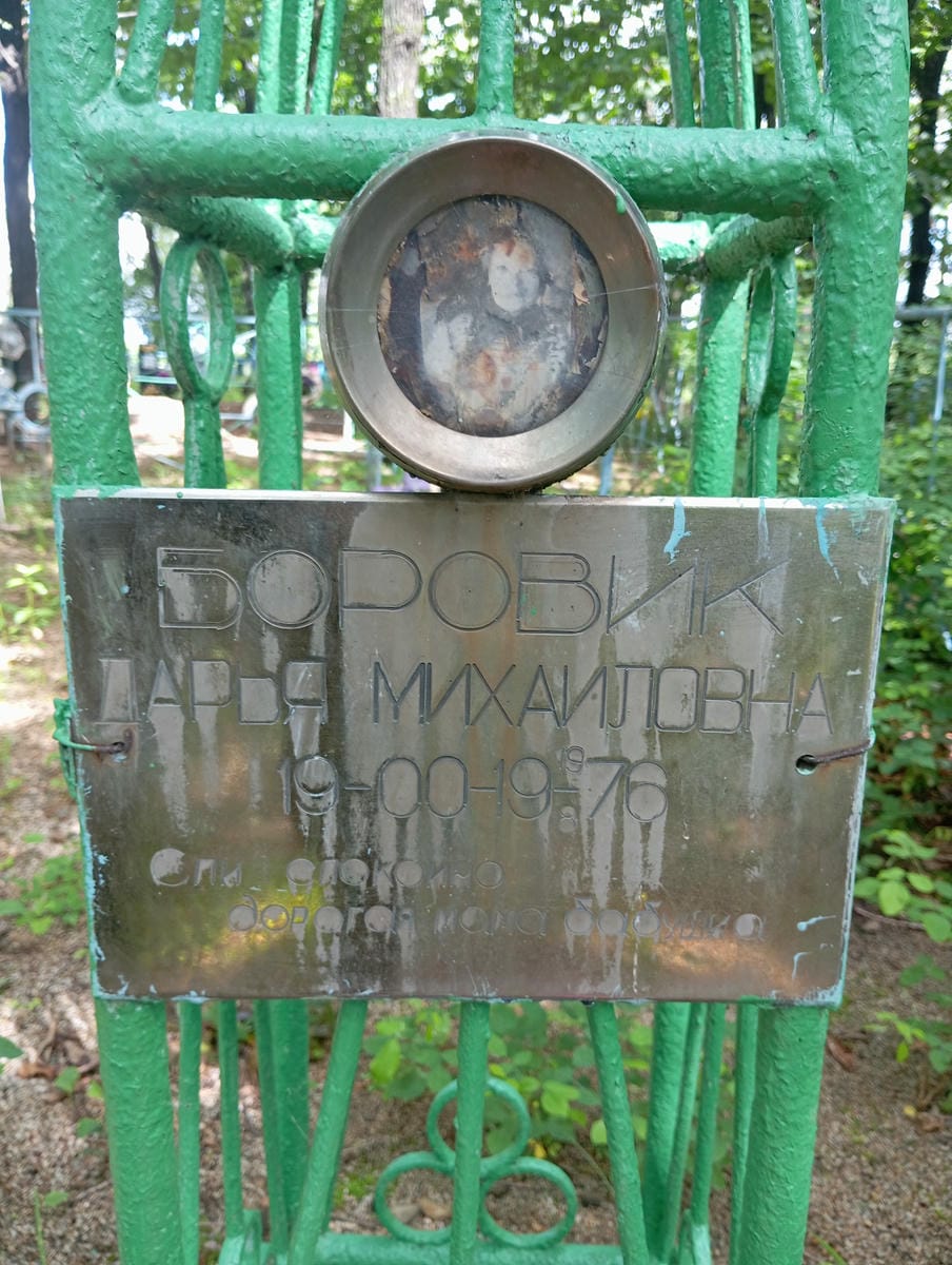 64620479-6761-4b2e-8392-70ba9125d78d Боровик Дарья Михайловна