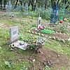 Киршина Анна Дмитриевна