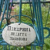 Панарина Пелагея Ивановна