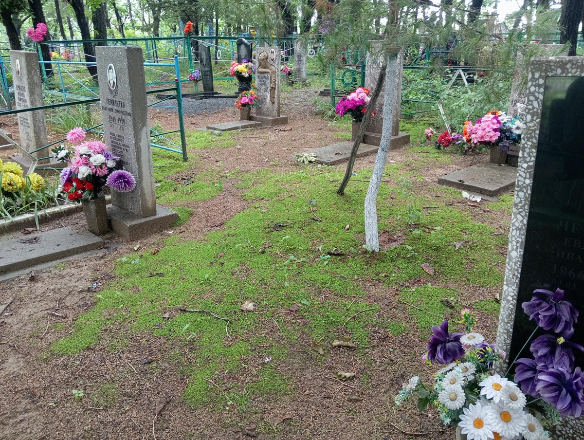 65d181c5-dff5-4a14-aed0-45ab564976d1 Неизвестно Неизвестно Неизвестно