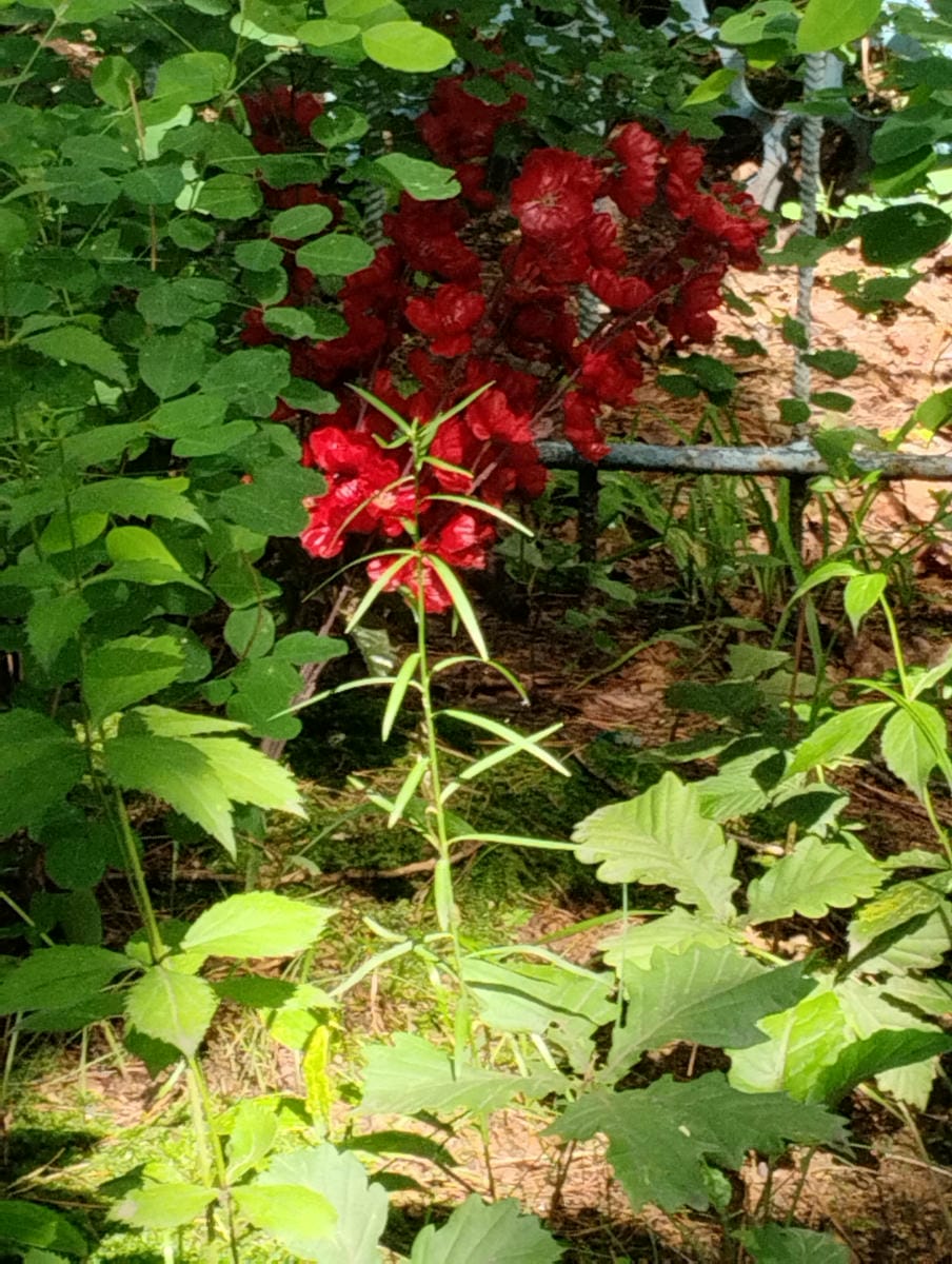 66398249-a3b2-42cd-b357-db7211a2f331 Неизвестно Неизвестно Неизвестно