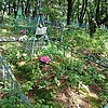 Бизина Анастасия Яковлевна